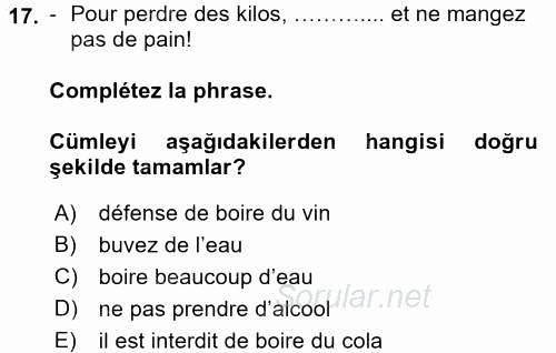 Fransızca 2 2016 - 2017 Ara Sınavı 17.Soru