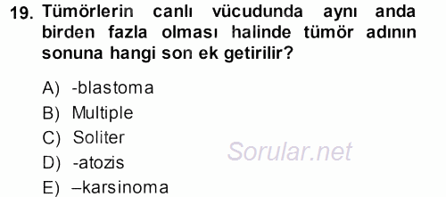 Temel Veteriner Patoloji 2013 - 2014 Dönem Sonu Sınavı 19.Soru