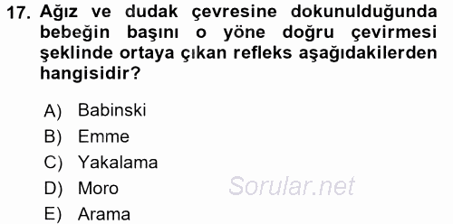 Çocuk Gelişimde Normal Ve Atipik Gelişim 2017 - 2018 Ara Sınavı 17.Soru