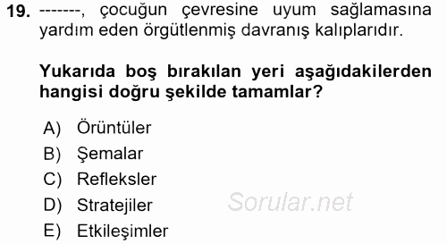 Çocuk Gelişimde Normal Ve Atipik Gelişim 2017 - 2018 Ara Sınavı 19.Soru