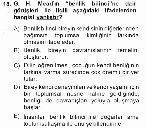 Modern Sosyoloji Tarihi 2014 - 2015 Ara Sınavı 18.Soru