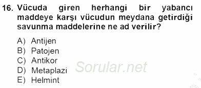 Temel Veteriner Parazitoloji 2012 - 2013 Dönem Sonu Sınavı 16.Soru