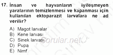 Temel Veteriner Parazitoloji 2012 - 2013 Dönem Sonu Sınavı 17.Soru