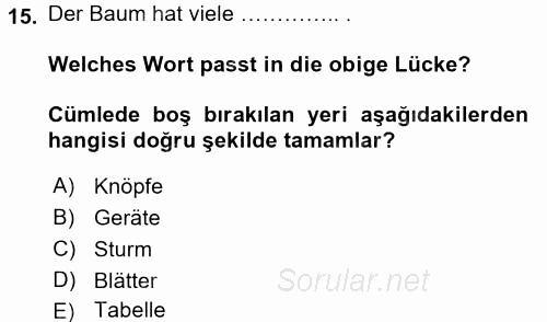 Almanca 2 2015 - 2016 Tek Ders Sınavı 15.Soru