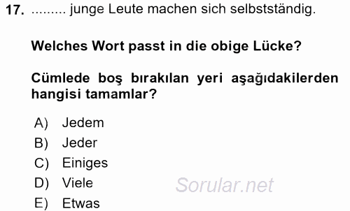 Almanca 2 2015 - 2016 Tek Ders Sınavı 17.Soru