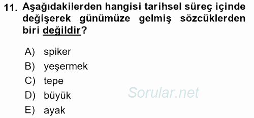 Türkçe Ses Bilgisi 2015 - 2016 Dönem Sonu Sınavı 11.Soru