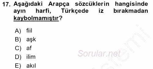 Türkçe Ses Bilgisi 2015 - 2016 Dönem Sonu Sınavı 17.Soru
