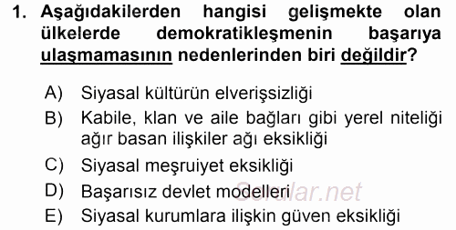 Gelişmekte Olan Ülkelerde Siyaset 2016 - 2017 Ara Sınavı 1.Soru