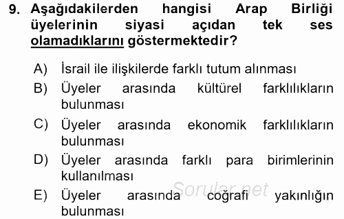 Gelişmekte Olan Ülkelerde Siyaset 2016 - 2017 Ara Sınavı 9.Soru