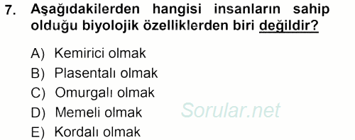 Antropoloji 2013 - 2014 Tek Ders Sınavı 7.Soru