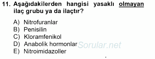 Temel Veteriner Farmakoloji ve Toksikoloji 2014 - 2015 Tek Ders Sınavı 11.Soru