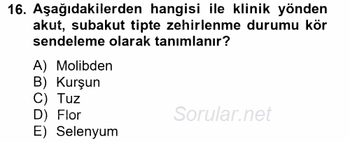 Temel Veteriner Farmakoloji ve Toksikoloji 2014 - 2015 Tek Ders Sınavı 16.Soru