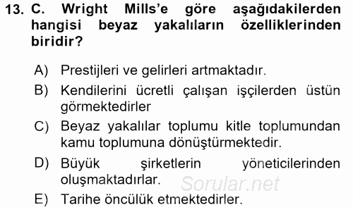 Modern Sosyoloji Tarihi 2017 - 2018 Ara Sınavı 13.Soru