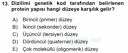 Beslenmenin Temel İlkeleri 2017 - 2018 Ara Sınavı 13.Soru