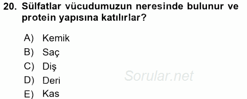 Beslenmenin Temel İlkeleri 2017 - 2018 Ara Sınavı 20.Soru