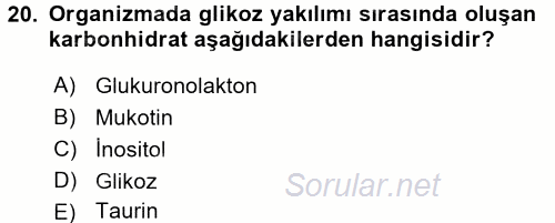 İçecek Bilgisi 2017 - 2018 Ara Sınavı 20.Soru