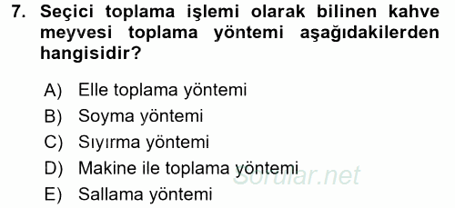 İçecek Bilgisi 2017 - 2018 Ara Sınavı 7.Soru