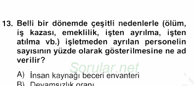 Örgütlerde İnsan Kaynakları Yönetimi 2012 - 2013 Ara Sınavı 15.Soru