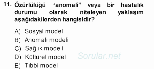 Sosyal Sorunlar 2013 - 2014 Dönem Sonu Sınavı 11.Soru