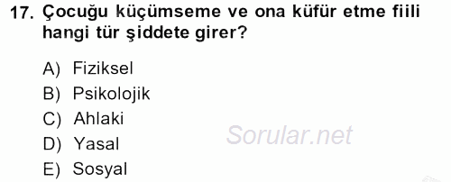 Sosyal Sorunlar 2013 - 2014 Dönem Sonu Sınavı 17.Soru