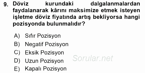 Dış Ticaretin Finansmanı ve Teşviki 2016 - 2017 3 Ders Sınavı 9.Soru