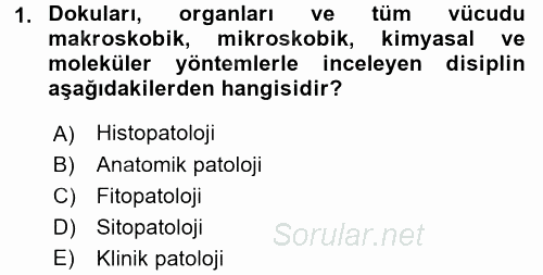 Temel Veteriner Patoloji 2016 - 2017 3 Ders Sınavı 1.Soru