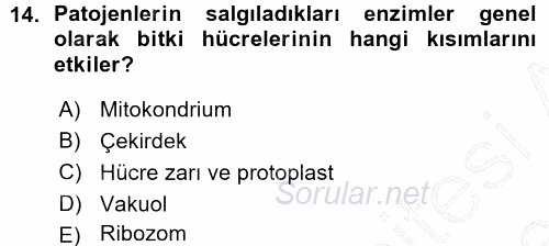 Fitopatoloji 2015 - 2016 Ara Sınavı 14.Soru