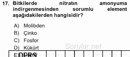 Fitopatoloji 2015 - 2016 Ara Sınavı 17.Soru