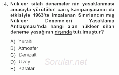 Yeni Toplumsal Hareketler 2012 - 2013 Tek Ders Sınavı 14.Soru