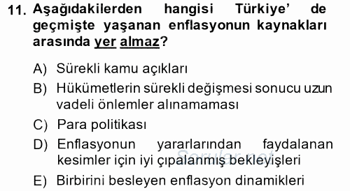 Ekonominin Güncel Sorunları 2013 - 2014 Dönem Sonu Sınavı 11.Soru