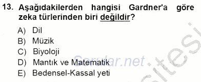 İng. Öğretmenliğinde Öğretim Teknolojileri Ve Materyal Tasarımı 1 2012 - 2013 Ara Sınavı 13.Soru