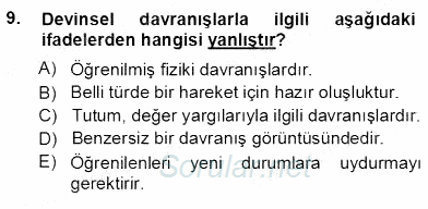 İng. Öğretmenliğinde Öğretim Teknolojileri Ve Materyal Tasarımı 1 2012 - 2013 Ara Sınavı 9.Soru