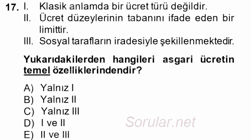 Çalışma Ekonomisi 2 2014 - 2015 Ara Sınavı 17.Soru