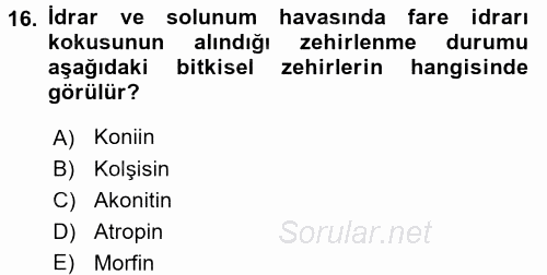 Temel Veteriner Farmakoloji ve Toksikoloji 2015 - 2016 Tek Ders Sınavı 16.Soru