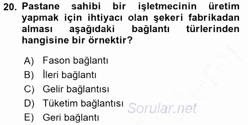 Ekonomi Sosyolojisi 2016 - 2017 3 Ders Sınavı 20.Soru