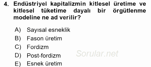 Ekonomi Sosyolojisi 2016 - 2017 3 Ders Sınavı 4.Soru