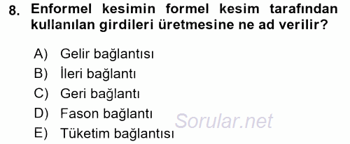 Ekonomi Sosyolojisi 2016 - 2017 3 Ders Sınavı 8.Soru