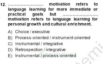 Dil Edinimi 2013 - 2014 Ara Sınavı 12.Soru