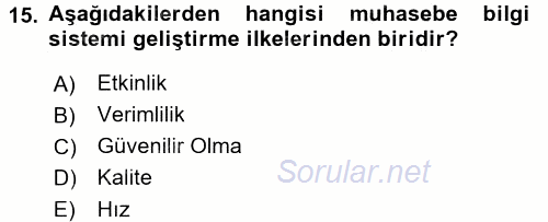 Muhasebede Bilgi Yönetimi 2016 - 2017 Dönem Sonu Sınavı 15.Soru