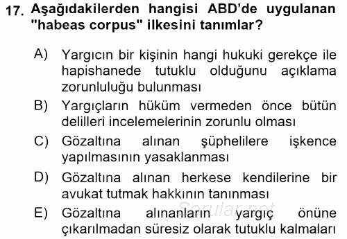 Karşılaştırmalı Siyasal Sistemler 2017 - 2018 Ara Sınavı 17.Soru