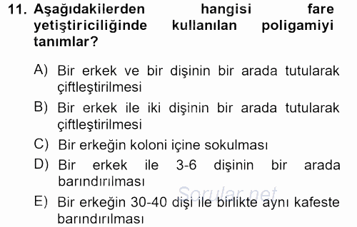 Temel Klinik Bilgisi 2012 - 2013 Ara Sınavı 11.Soru