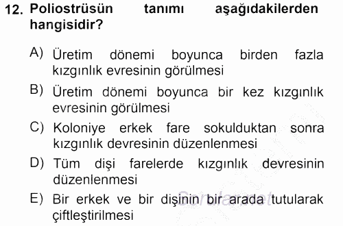 Temel Klinik Bilgisi 2012 - 2013 Ara Sınavı 12.Soru