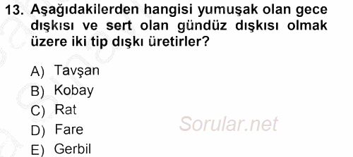 Temel Klinik Bilgisi 2012 - 2013 Ara Sınavı 13.Soru