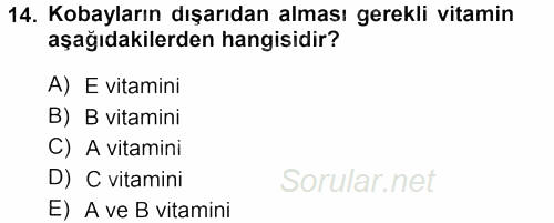 Temel Klinik Bilgisi 2012 - 2013 Ara Sınavı 14.Soru