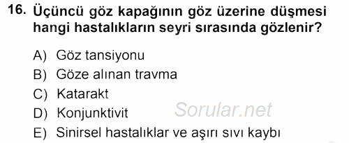 Temel Klinik Bilgisi 2012 - 2013 Ara Sınavı 16.Soru