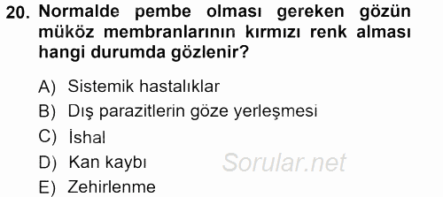 Temel Klinik Bilgisi 2012 - 2013 Ara Sınavı 20.Soru