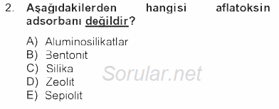 Temel Yem Bilgisi ve Hayvan Besleme 2012 - 2013 Tek Ders Sınavı 2.Soru