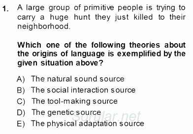 Dilbilim 1 2013 - 2014 Ara Sınavı 1.Soru