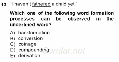 Dilbilim 1 2013 - 2014 Ara Sınavı 13.Soru