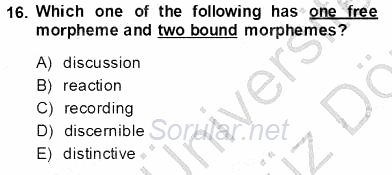 Dilbilim 1 2013 - 2014 Ara Sınavı 16.Soru